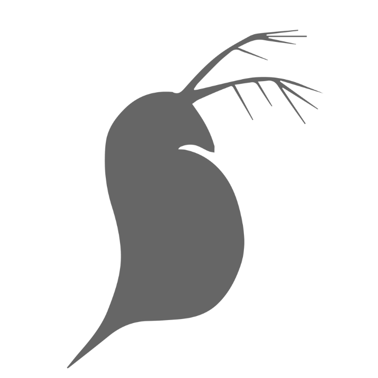 Zooplankton Icon.png